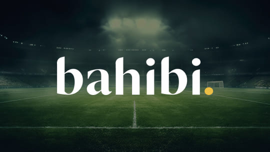 Bahibi Logo